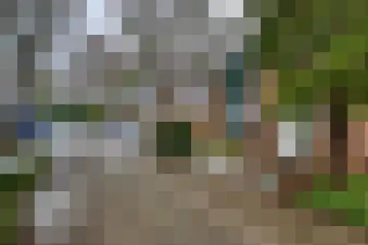 Meilag 28 Andijk thumbnail 47