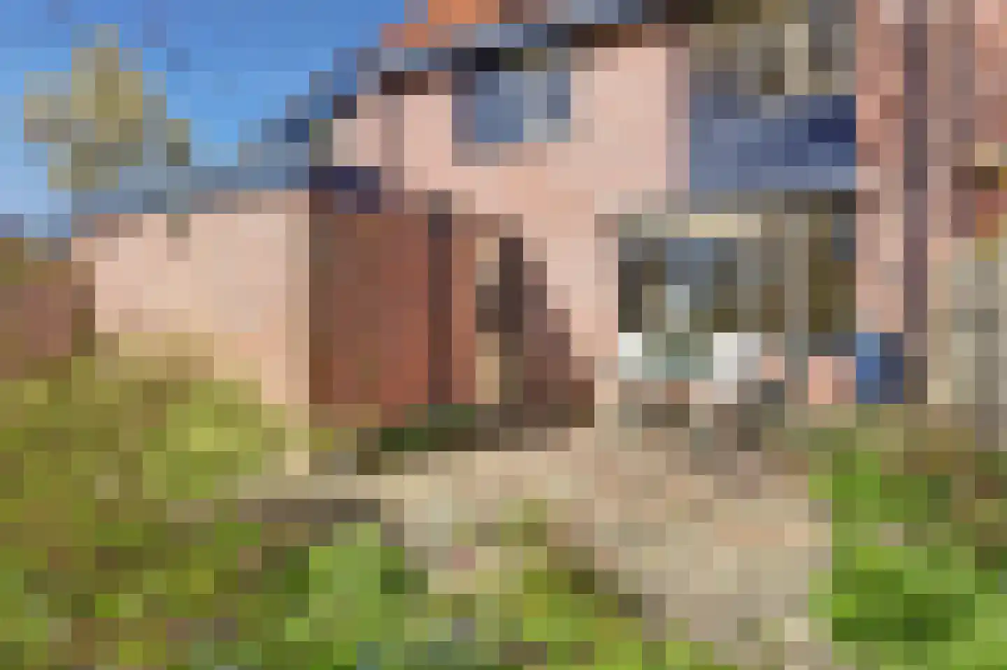 Meilag 34 Andijk thumbnail 23