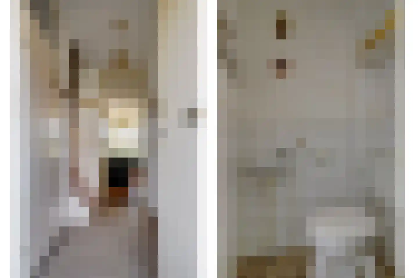 Meilag 34 Andijk thumbnail 5