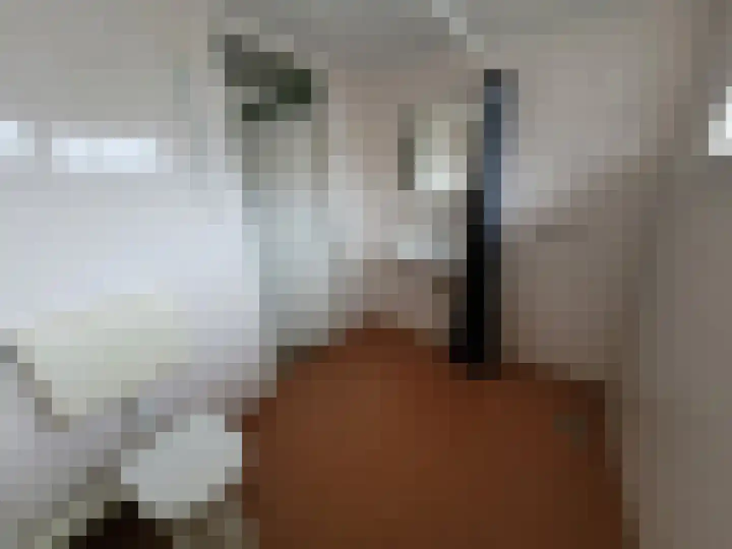 Meilag 43 Andijk thumbnail 12