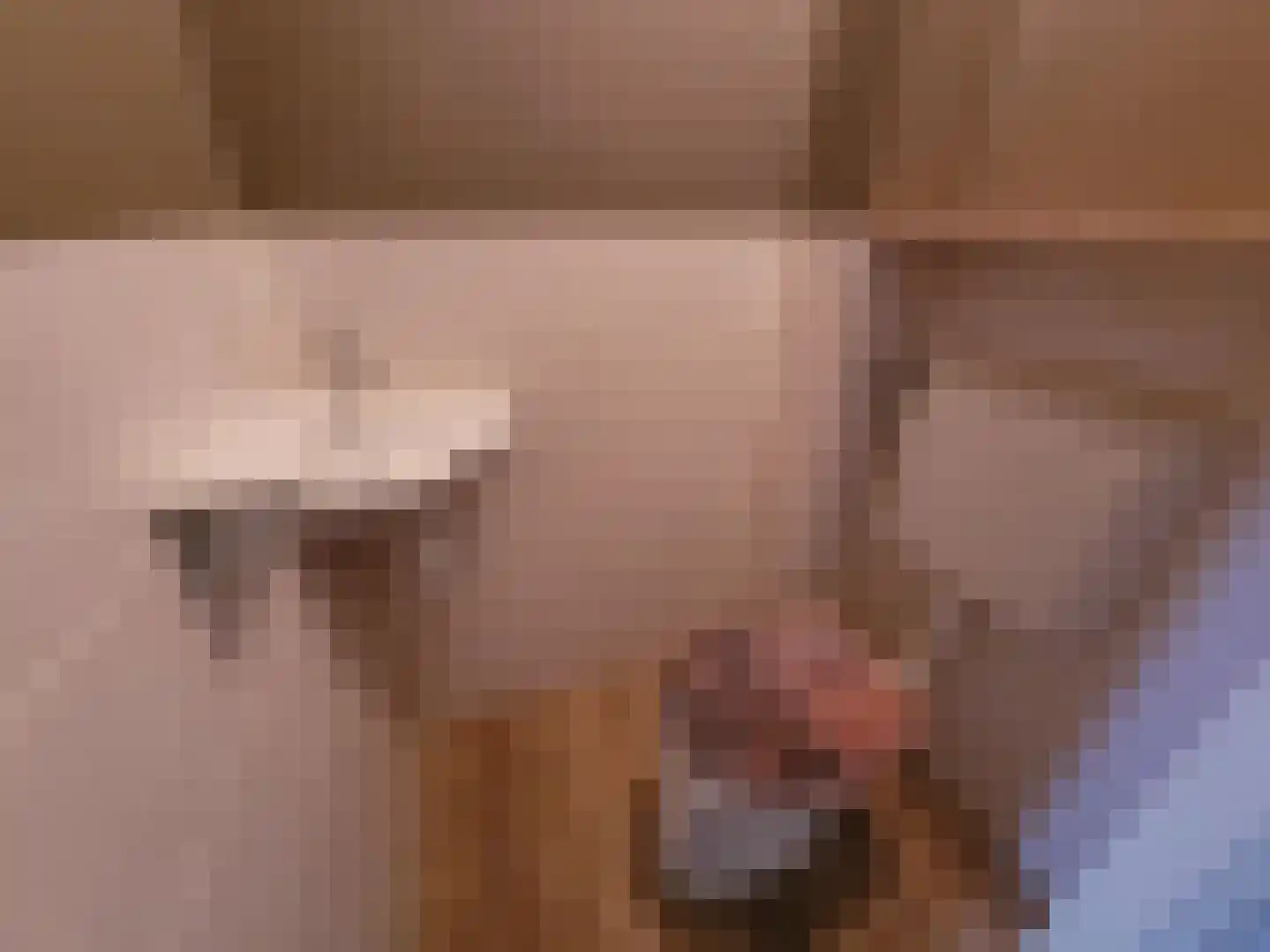 Meilag 43 Andijk thumbnail 6