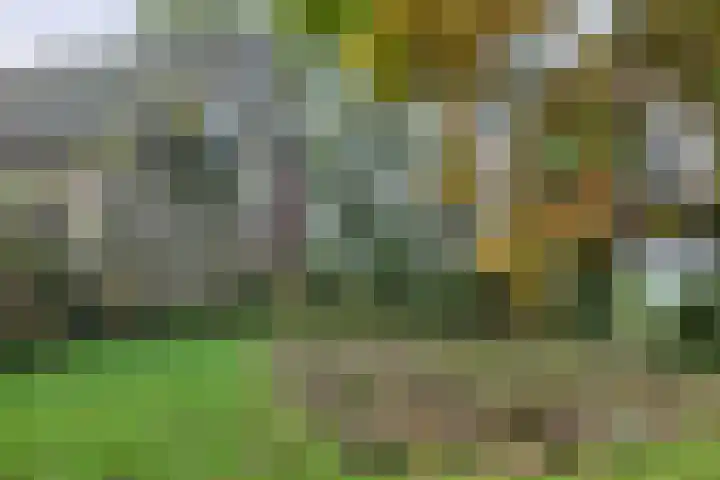 Meilahuzen 9 Easterein thumbnail 10