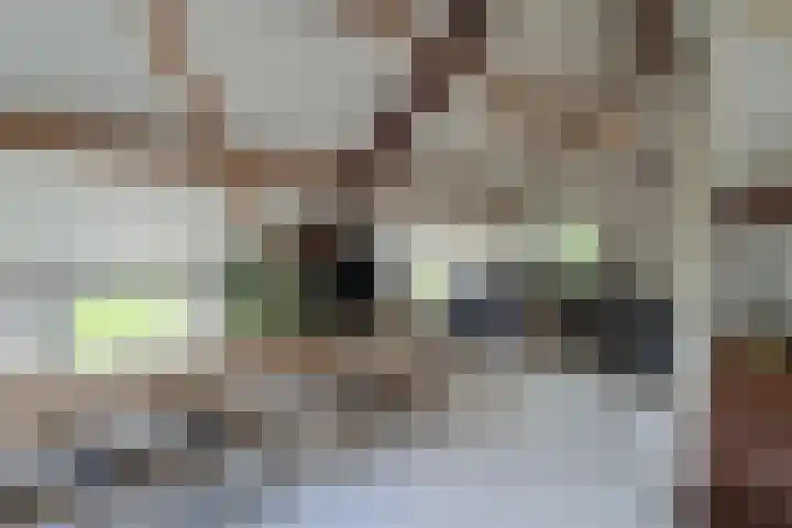Meilahuzen 9 Easterein thumbnail 13