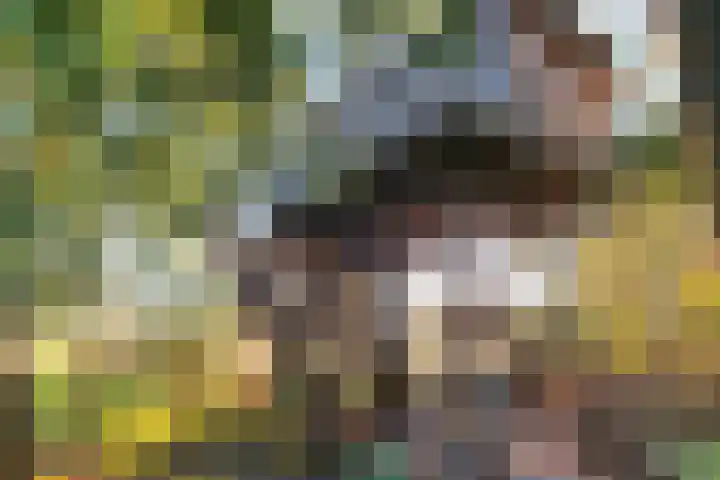 Meilahuzen 9 Easterein thumbnail 16