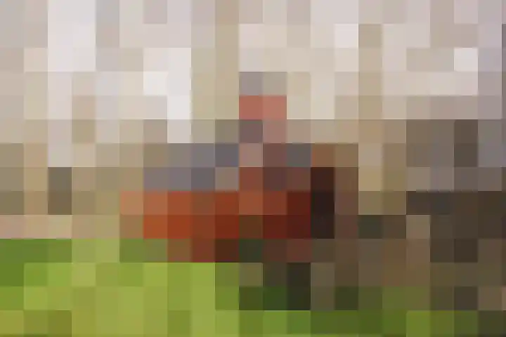 Meilahuzen 9 Easterein thumbnail 19
