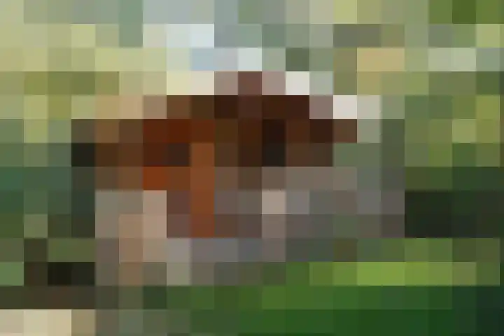 Meilahuzen 9 Easterein thumbnail 21