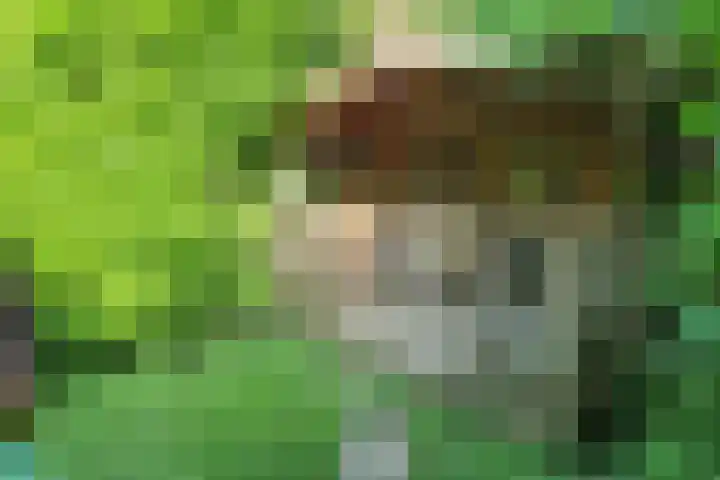Meilahuzen 9 Easterein thumbnail 23