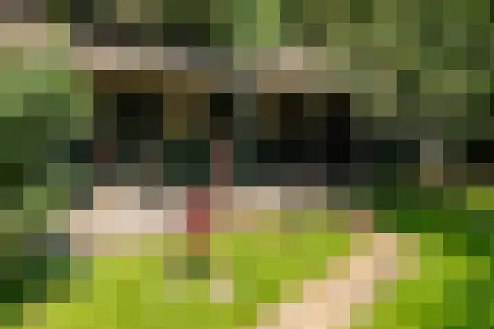 Meilahuzen 9 Easterein thumbnail 25