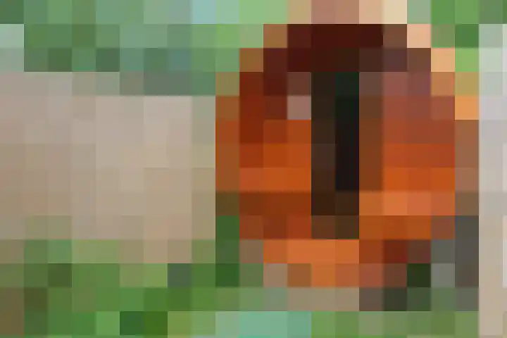 Meilahuzen 9 Easterein thumbnail 30