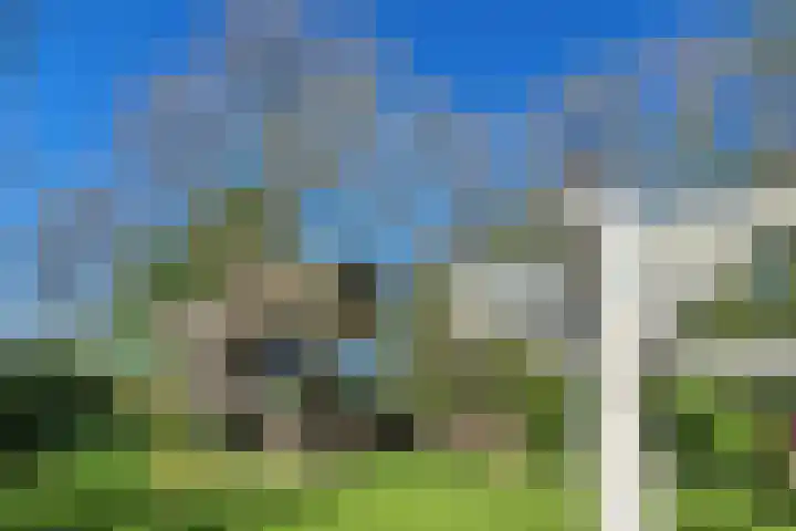 Meilahuzen 9 Easterein thumbnail 32