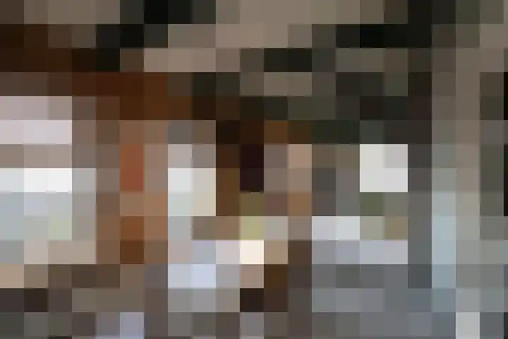 Meilahuzen 9 Easterein thumbnail 4