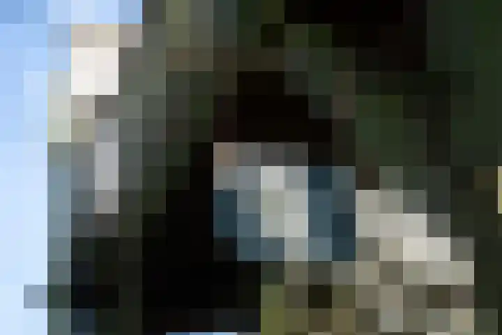 Meilahuzen 9 Easterein thumbnail 9