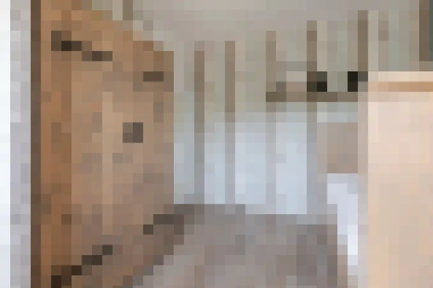 Meilanden 21 Barneveld thumbnail 30