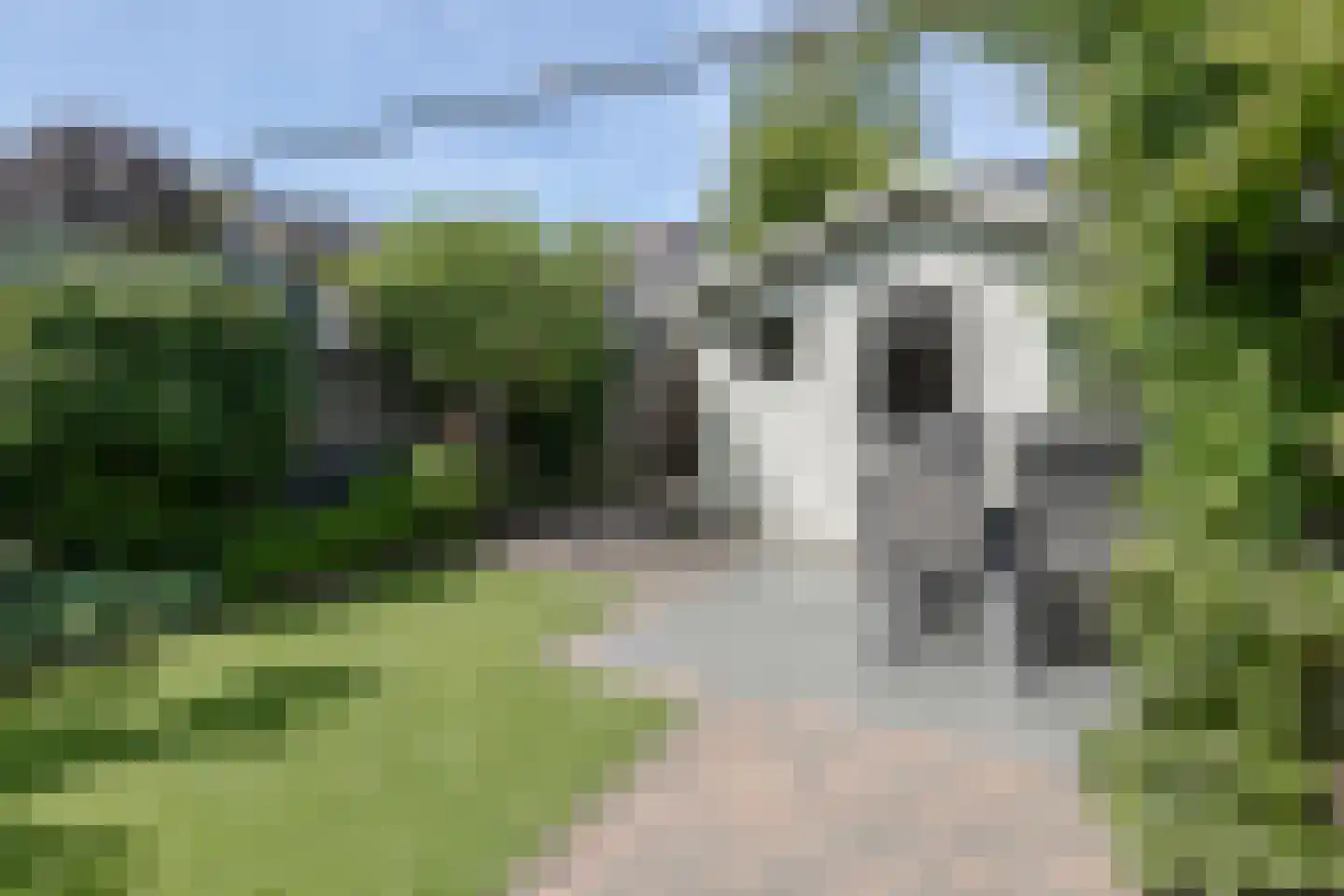 Meilanden 21 Barneveld thumbnail 44