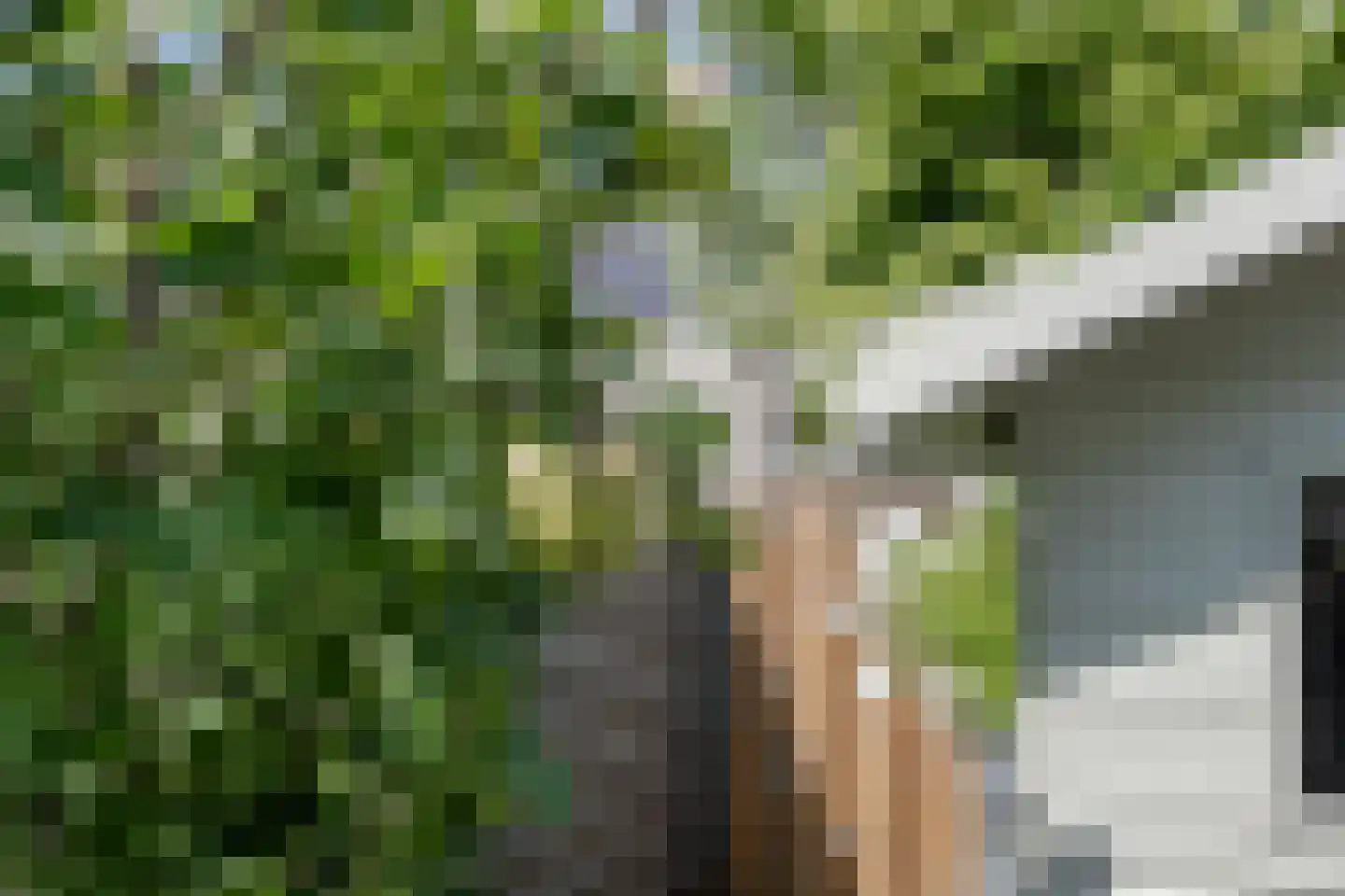Meilanden 21 Barneveld thumbnail 45