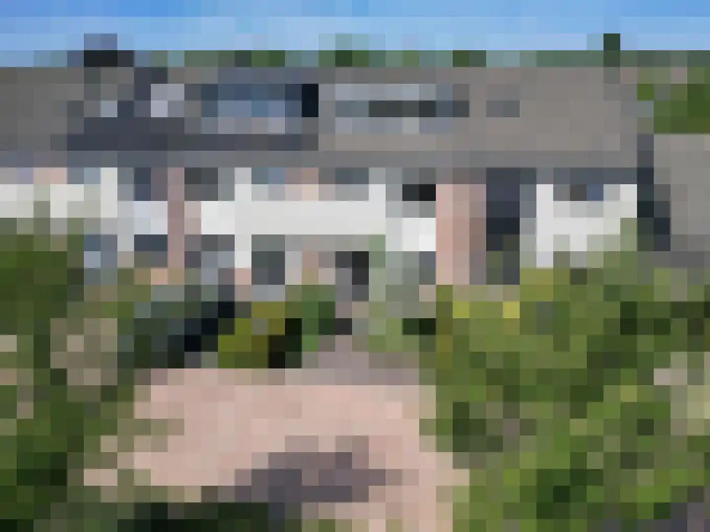 Meilanden 21 Barneveld thumbnail 50