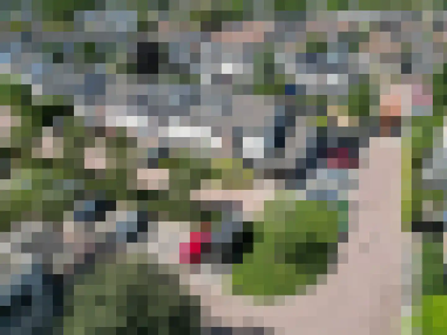 Meilanden 21 Barneveld thumbnail 52