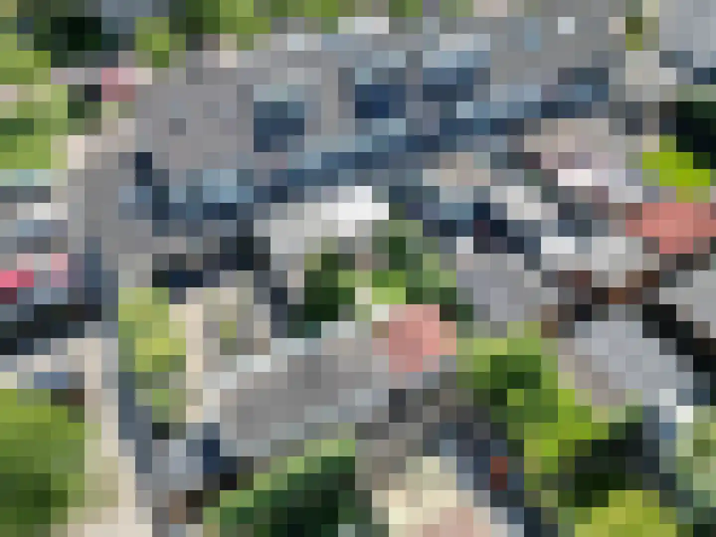 Meilanden 21 Barneveld thumbnail 54