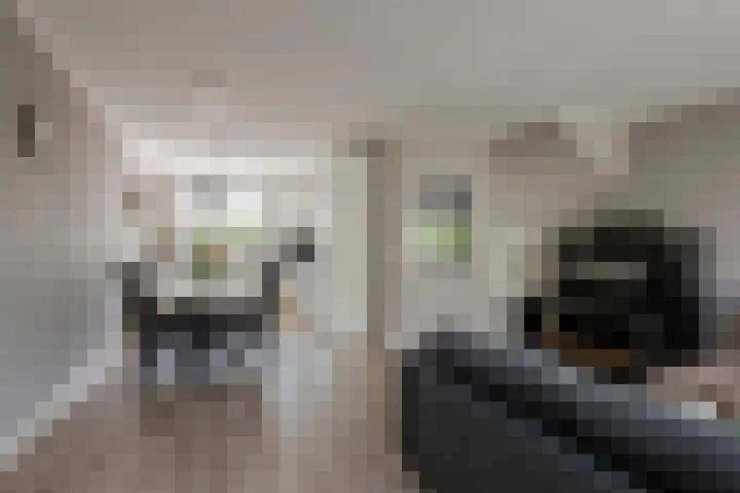 Meilanden 21 Barneveld thumbnail 7