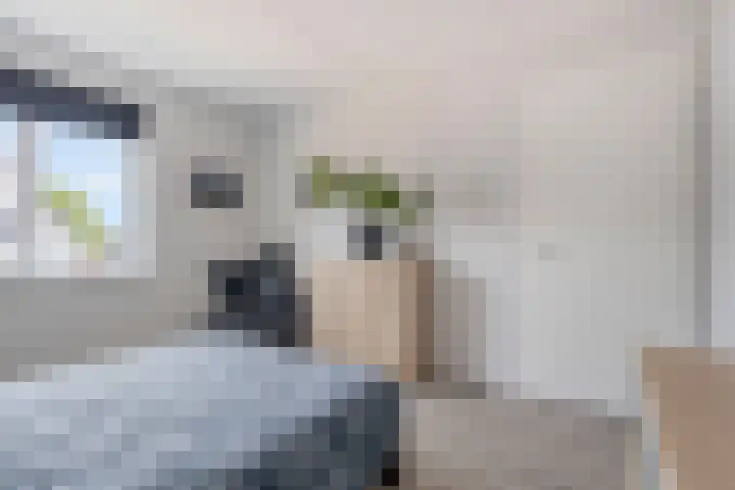 Meilerstraat 9 Heeten thumbnail 19