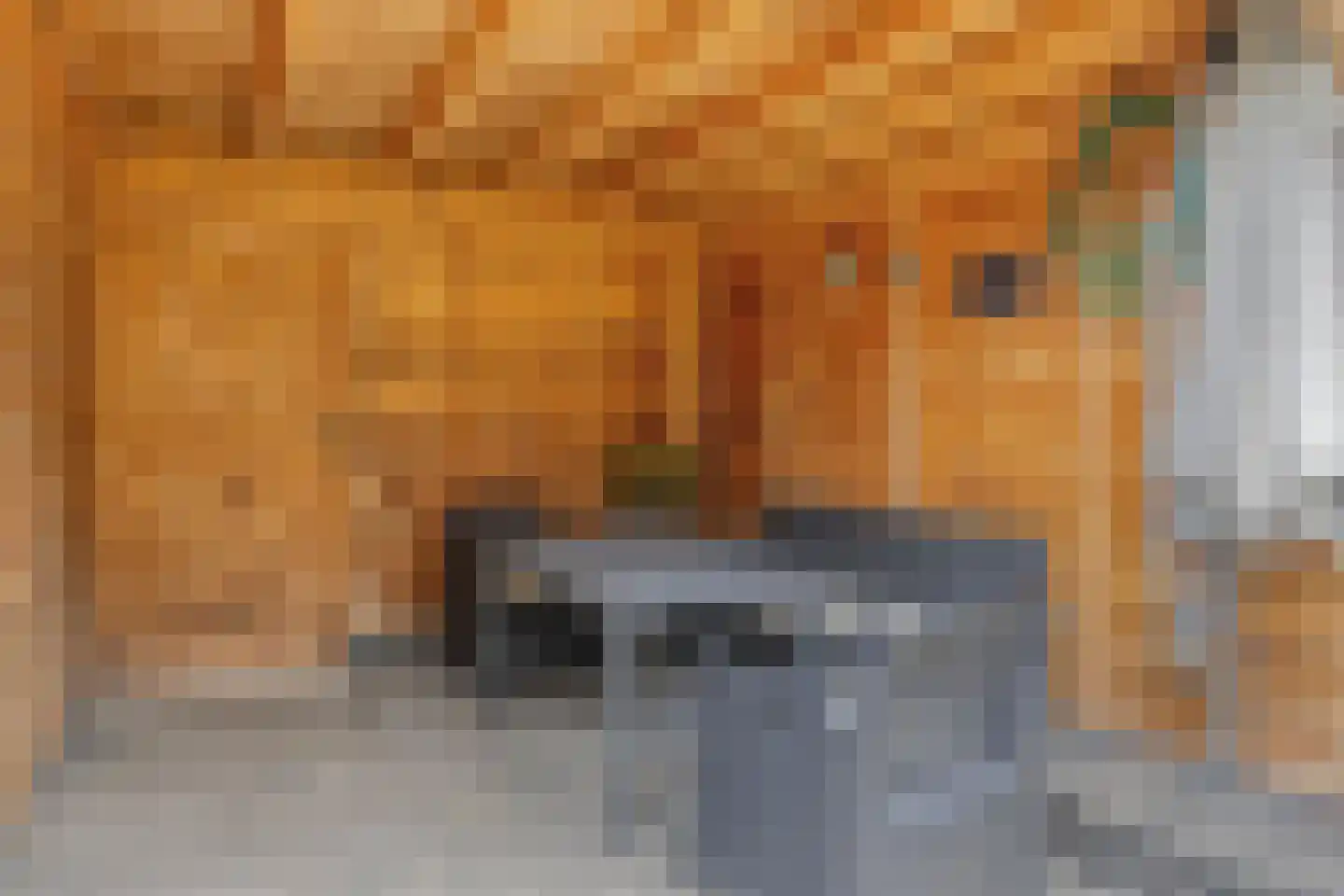 Meilerstraat 9 Heeten thumbnail 32
