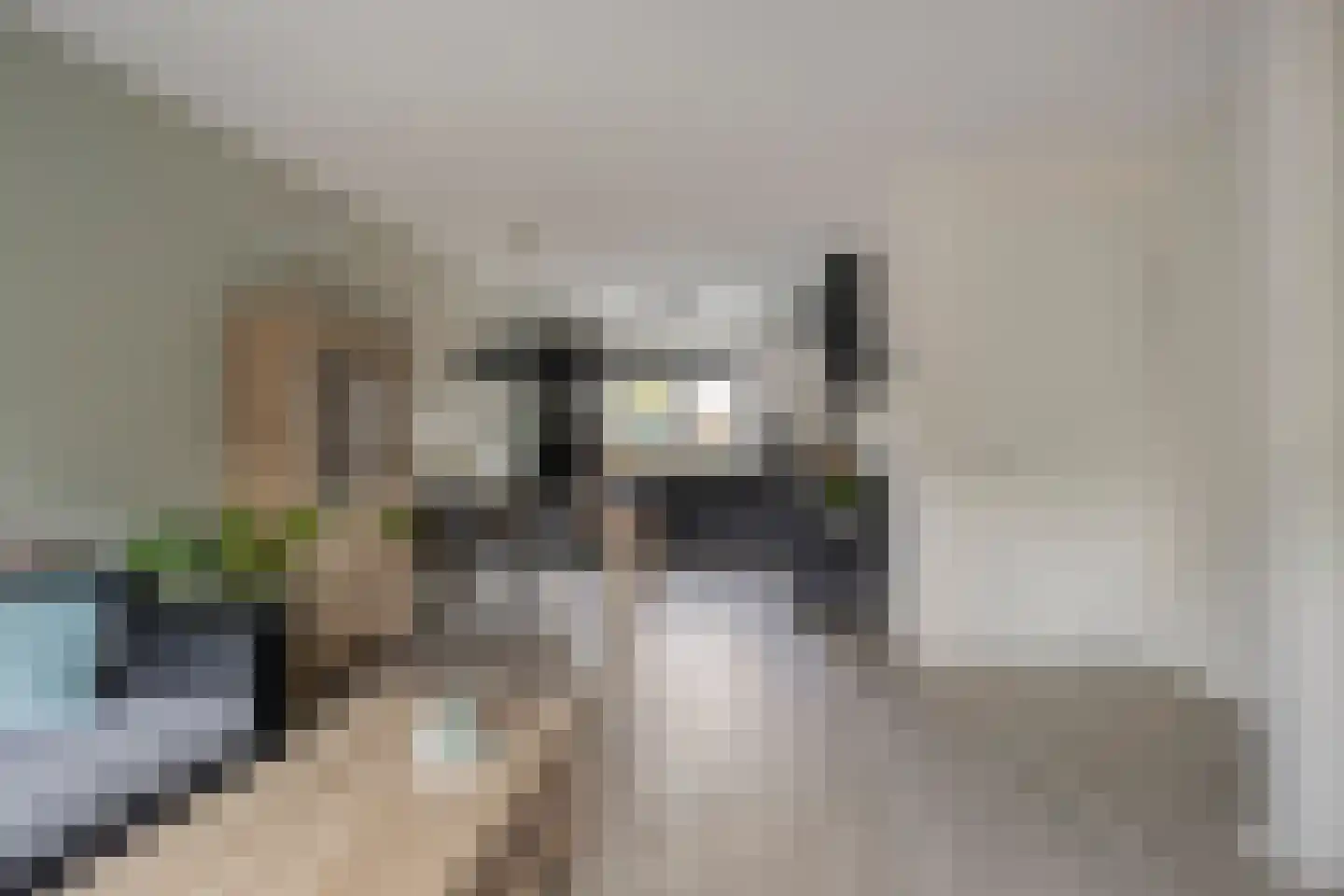 Meilerstraat 9 Heeten thumbnail 6