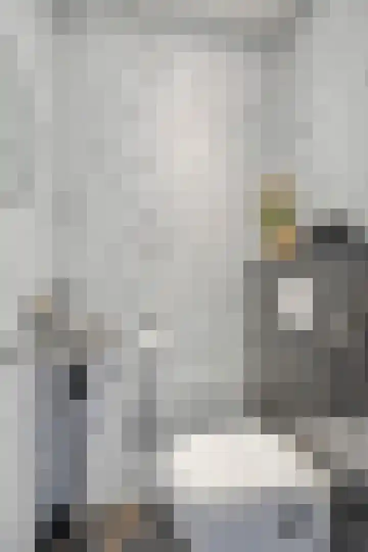 Meilust 23 Assendelft thumbnail 10