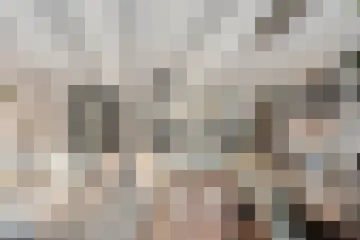 Meilust 23 Assendelft thumbnail 15