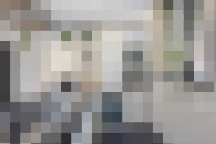 Meilust 23 Assendelft thumbnail 18