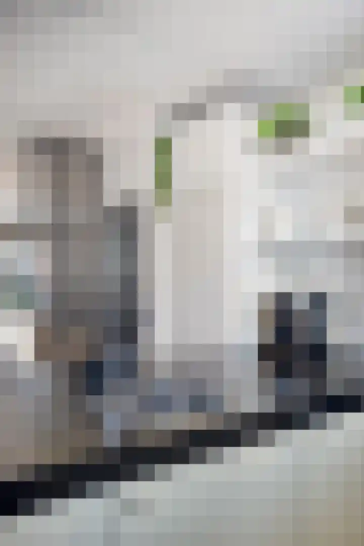 Meilust 23 Assendelft thumbnail 20