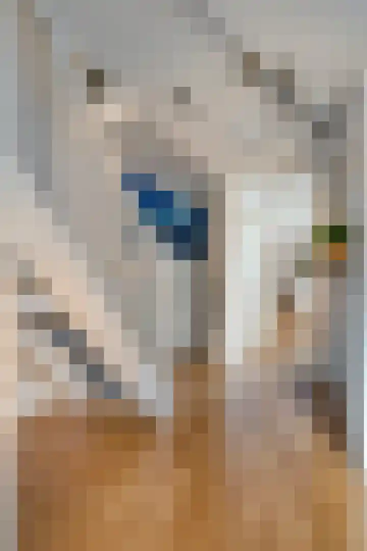 Meilust 23 Assendelft thumbnail 24