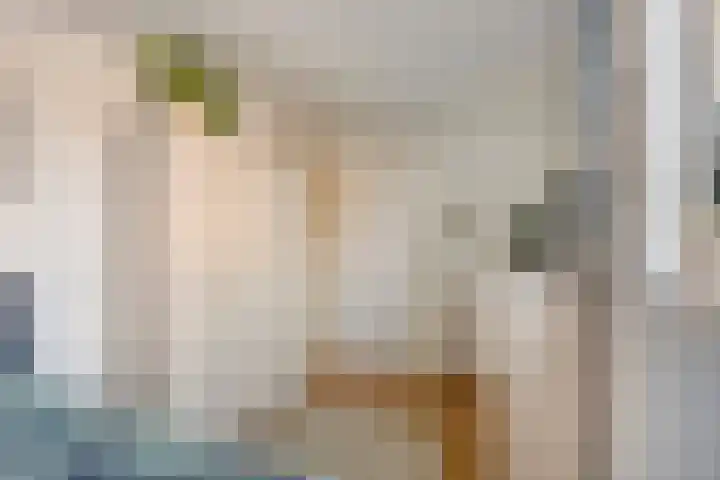 Meilust 23 Assendelft thumbnail 26