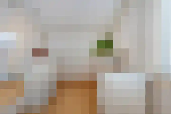 Meilust 23 Assendelft thumbnail 27