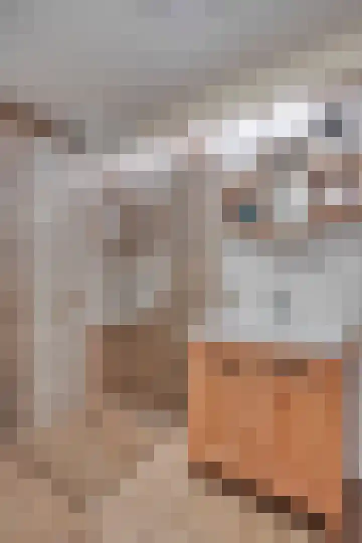 Meilust 23 Assendelft thumbnail 30