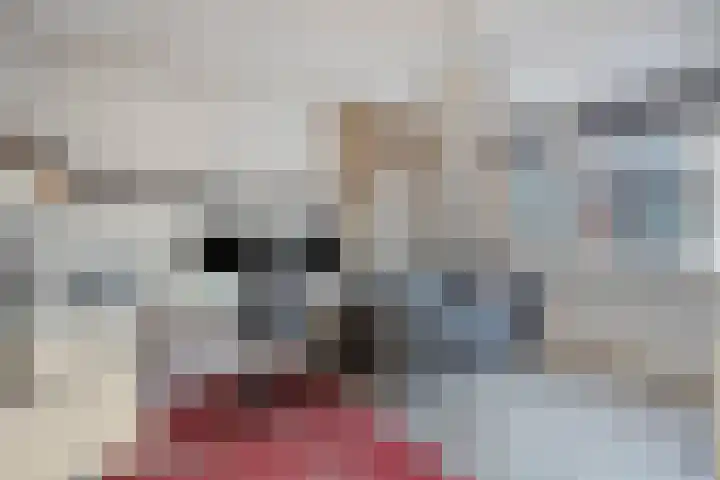 Meilust 23 Assendelft thumbnail 32