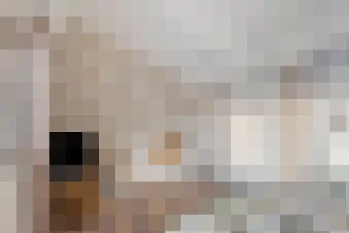 Meilust 23 Assendelft thumbnail 36