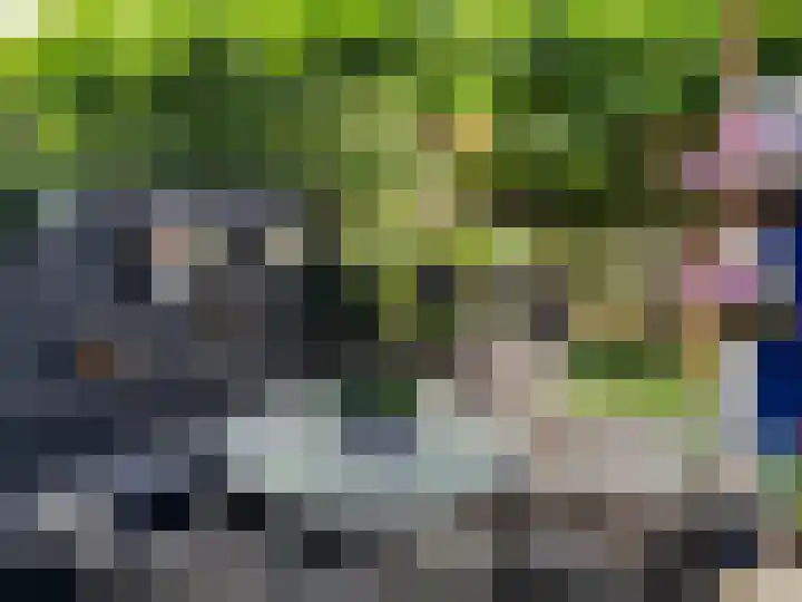 Meilust 23 Assendelft thumbnail 38