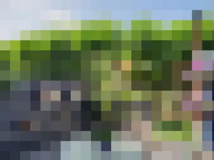 Meilust 23 Assendelft thumbnail 39