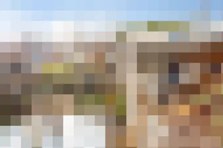 Meilust 23 Assendelft thumbnail 40