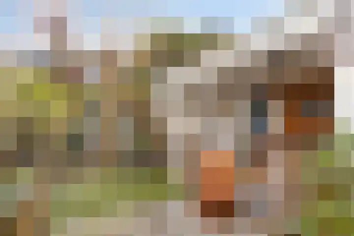 Meilust 23 Assendelft thumbnail 41