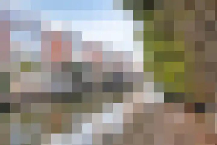 Meilust 23 Assendelft thumbnail 45