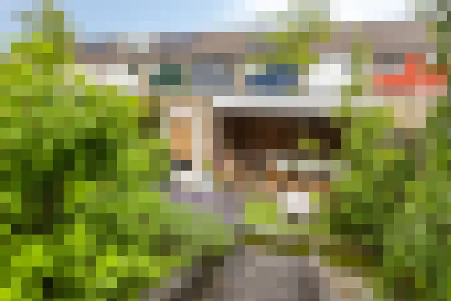 Meilustweg 22 Bergen op Zoom thumbnail 26