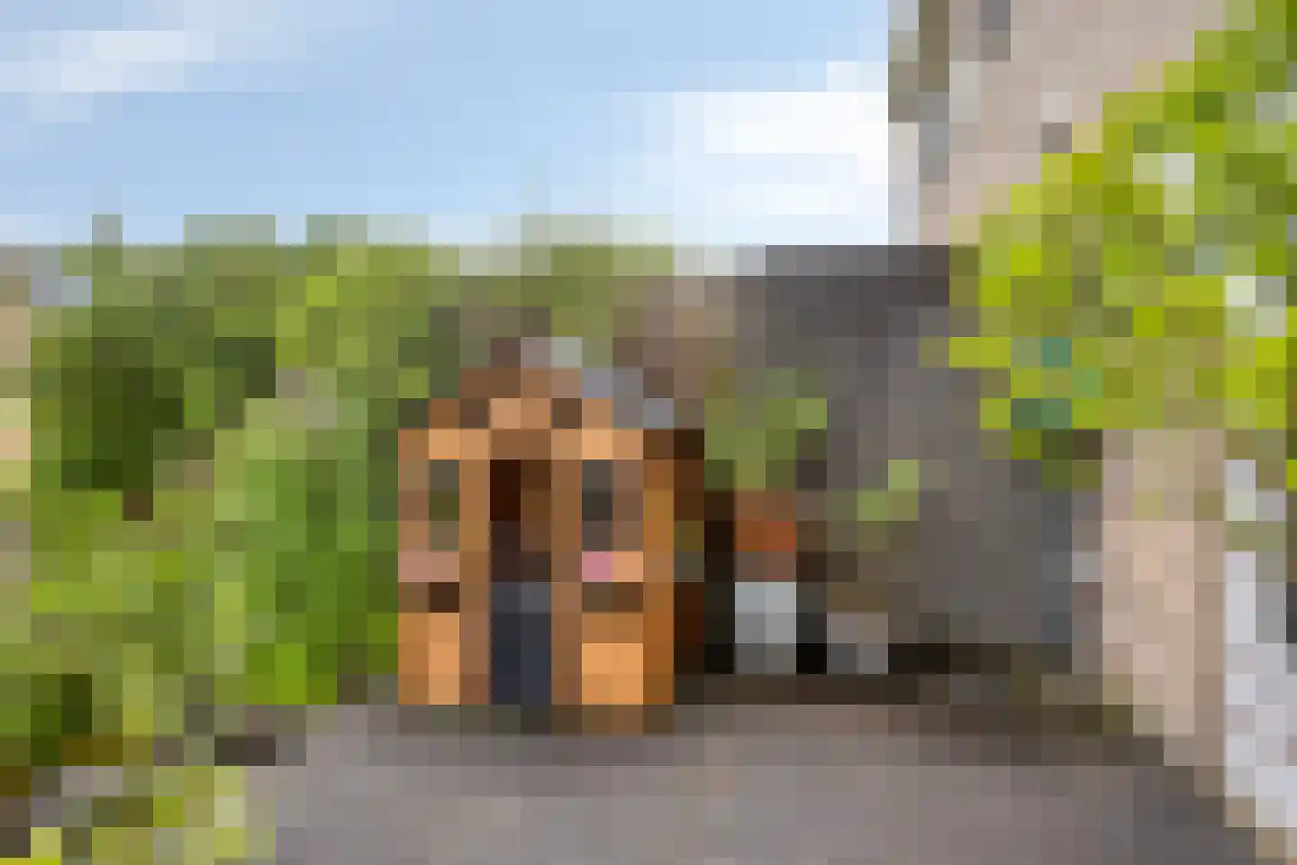 Meilustweg 22 Bergen op Zoom thumbnail 28