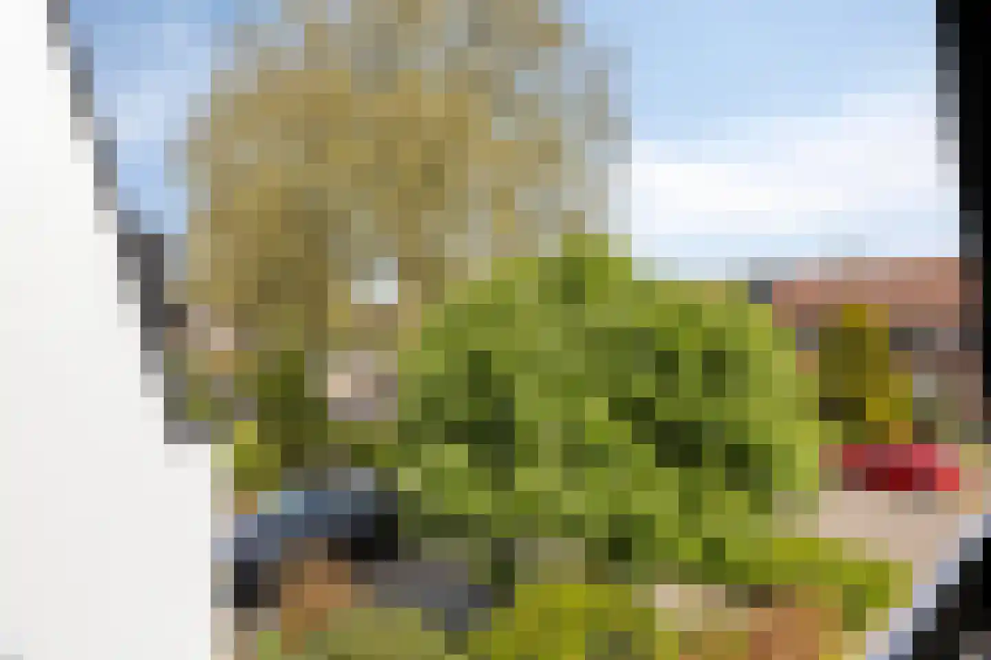 Meilustweg 41 Bergen op Zoom thumbnail 24