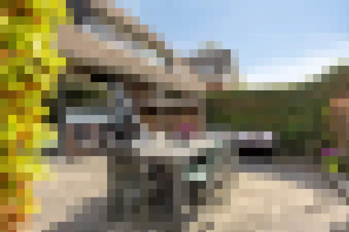 Meilustweg 41 Bergen op Zoom thumbnail 38