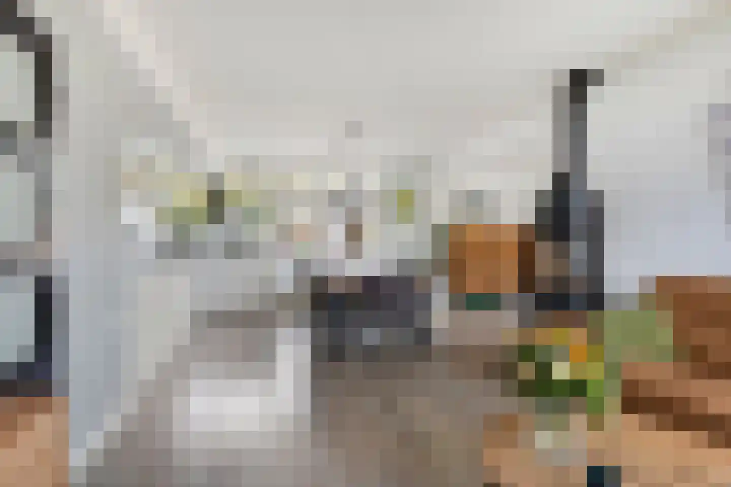 Meilustweg 41 Bergen op Zoom thumbnail 4