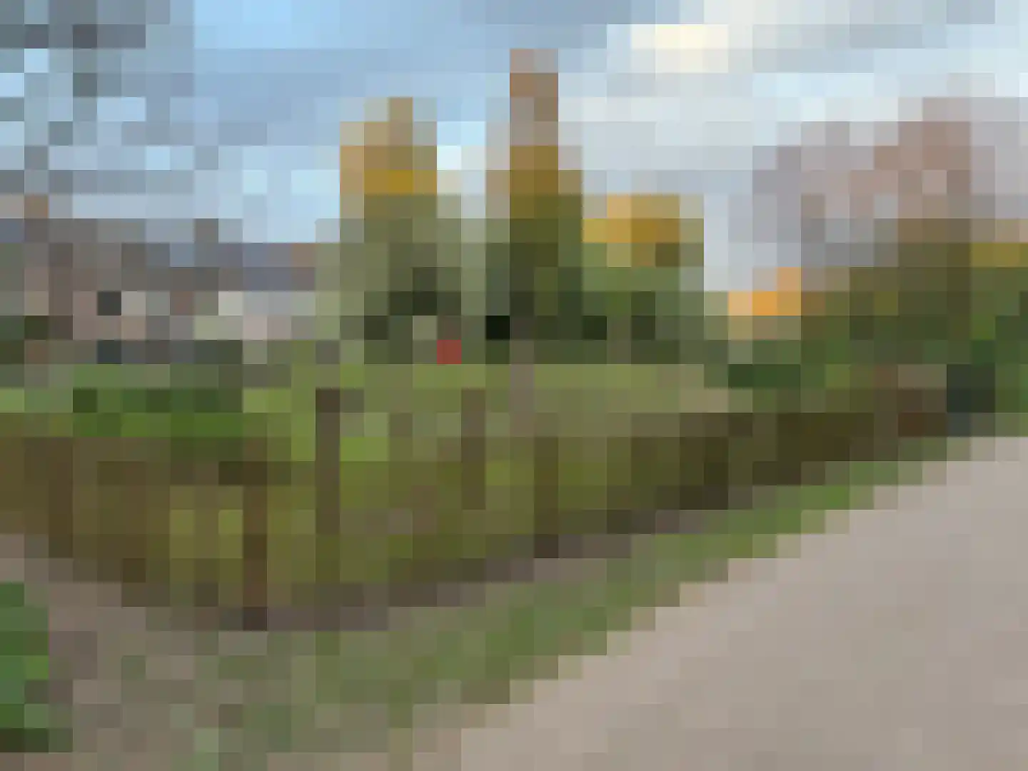 Meilustweg 41 Bergen op Zoom thumbnail 49