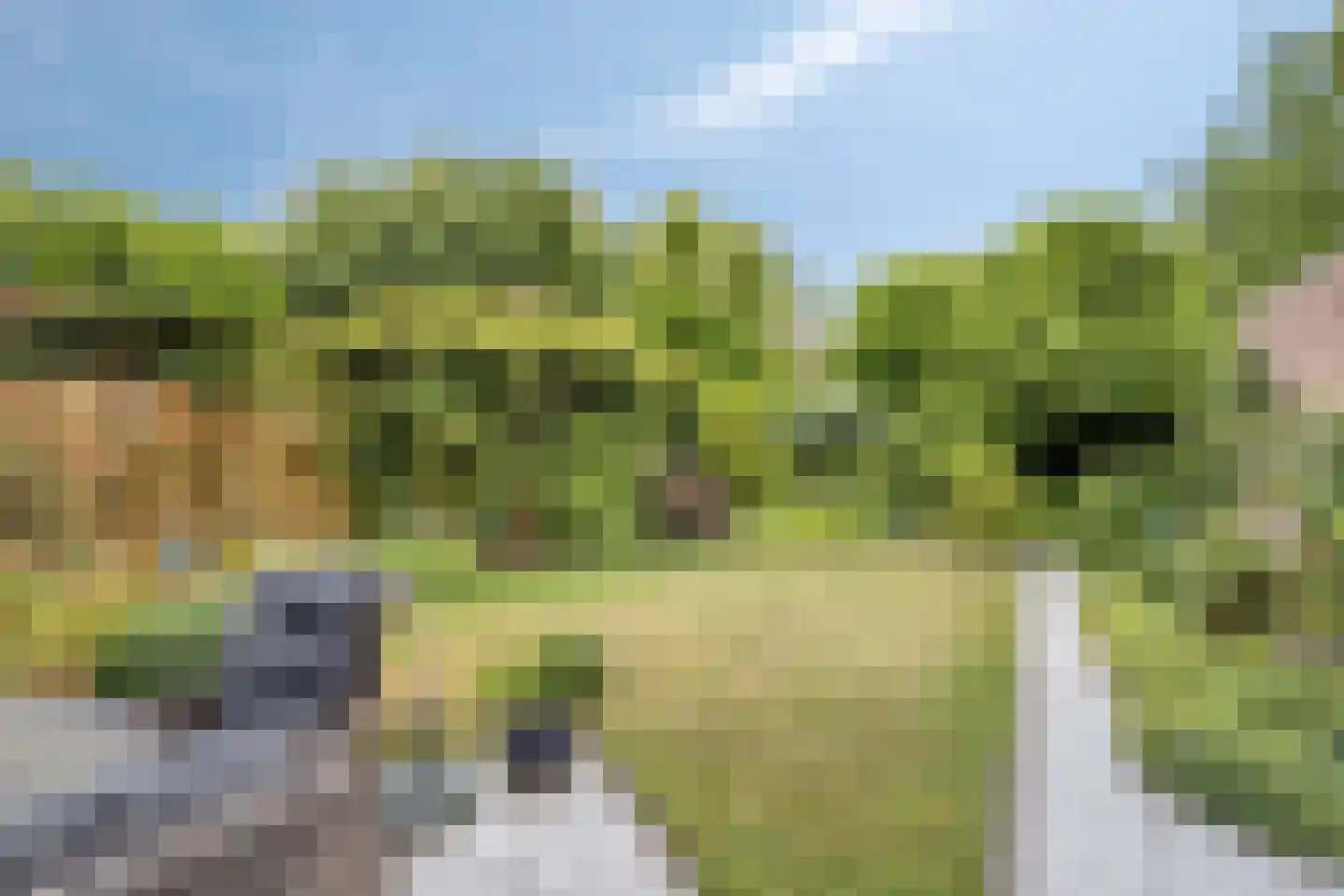 Meilustweg 59 Bergen op Zoom thumbnail 30