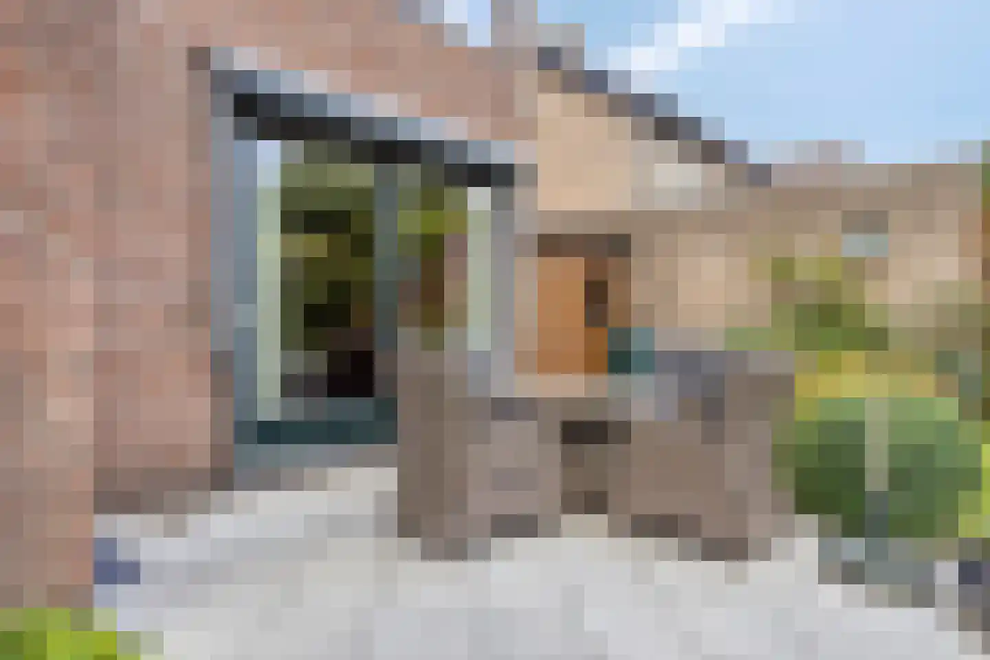 Meilustweg 59 Bergen op Zoom thumbnail 32