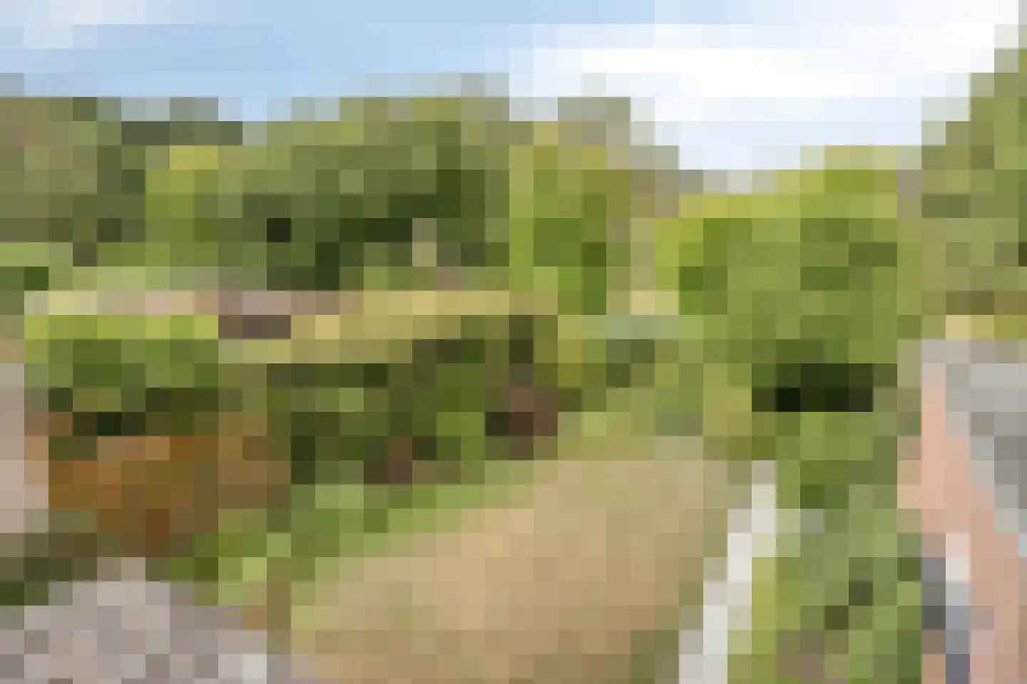 Meilustweg 59 Bergen op Zoom thumbnail 5